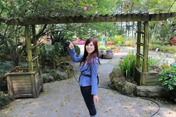 千樺庭園咖啡: 【台中景點】新社千樺花園餐廳。森林裡神秘的玻璃屋/穿梭在花園及樹叢裡的小浪漫/與幸福有約的景觀餐廳