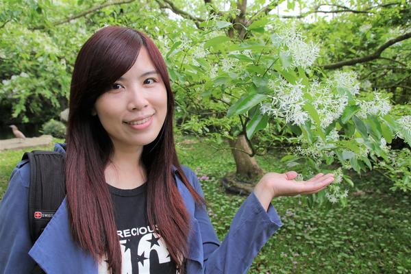 千樺庭園咖啡: 【台中景點】新社千樺花園餐廳。森林裡神秘的玻璃屋/穿梭在花園及樹叢裡的小浪漫/與幸福有約的景觀餐廳