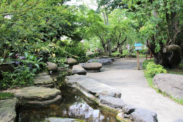 千樺庭園咖啡: 【台中景點】新社千樺花園餐廳。森林裡神秘的玻璃屋/穿梭在花園及樹叢裡的小浪漫/與幸福有約的景觀餐廳