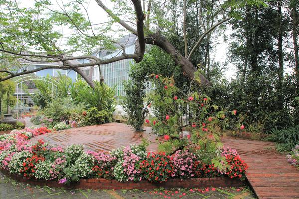 千樺庭園咖啡: 【台中景點】新社千樺花園餐廳。森林裡神秘的玻璃屋/穿梭在花園及樹叢裡的小浪漫/與幸福有約的景觀餐廳