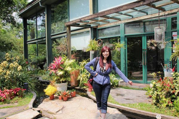 千樺庭園咖啡: 【台中景點】新社千樺花園餐廳。森林裡神秘的玻璃屋/穿梭在花園及樹叢裡的小浪漫/與幸福有約的景觀餐廳