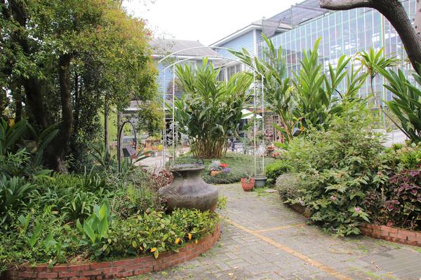 千樺庭園咖啡: 【台中景點】新社千樺花園餐廳。森林裡神秘的玻璃屋/穿梭在花園及樹叢裡的小浪漫/與幸福有約的景觀餐廳