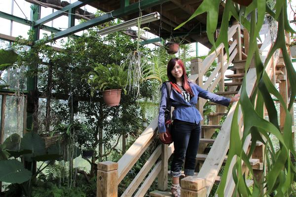 千樺庭園咖啡: 【台中景點】新社千樺花園餐廳。森林裡神秘的玻璃屋/穿梭在花園及樹叢裡的小浪漫/與幸福有約的景觀餐廳