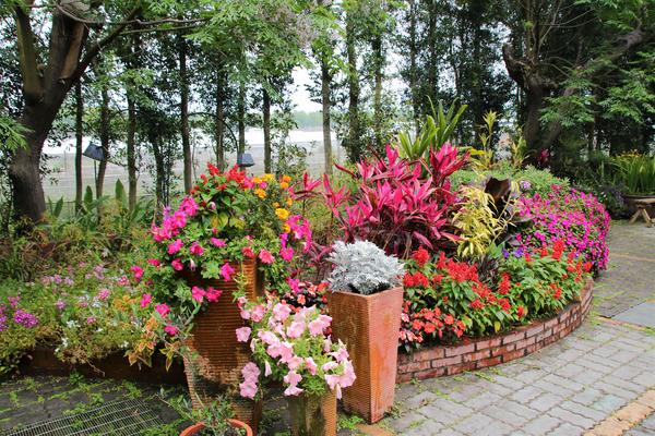 千樺庭園咖啡: 【台中景點】新社千樺花園餐廳。森林裡神秘的玻璃屋/穿梭在花園及樹叢裡的小浪漫/與幸福有約的景觀餐廳