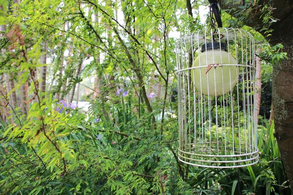 千樺庭園咖啡: 【台中景點】新社千樺花園餐廳。森林裡神秘的玻璃屋/穿梭在花園及樹叢裡的小浪漫/與幸福有約的景觀餐廳