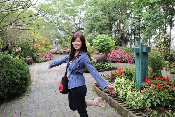 千樺庭園咖啡: 【台中景點】新社千樺花園餐廳。森林裡神秘的玻璃屋/穿梭在花園及樹叢裡的小浪漫/與幸福有約的景觀餐廳