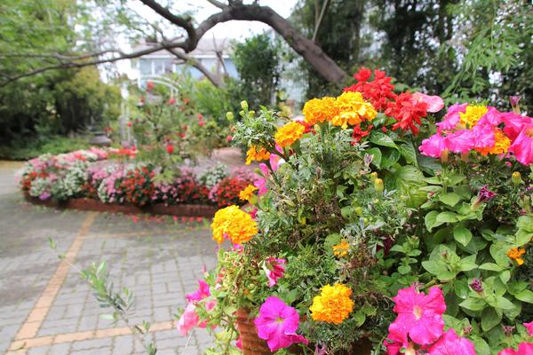 千樺庭園咖啡: 【台中景點】新社千樺花園餐廳。森林裡神秘的玻璃屋/穿梭在花園及樹叢裡的小浪漫/與幸福有約的景觀餐廳