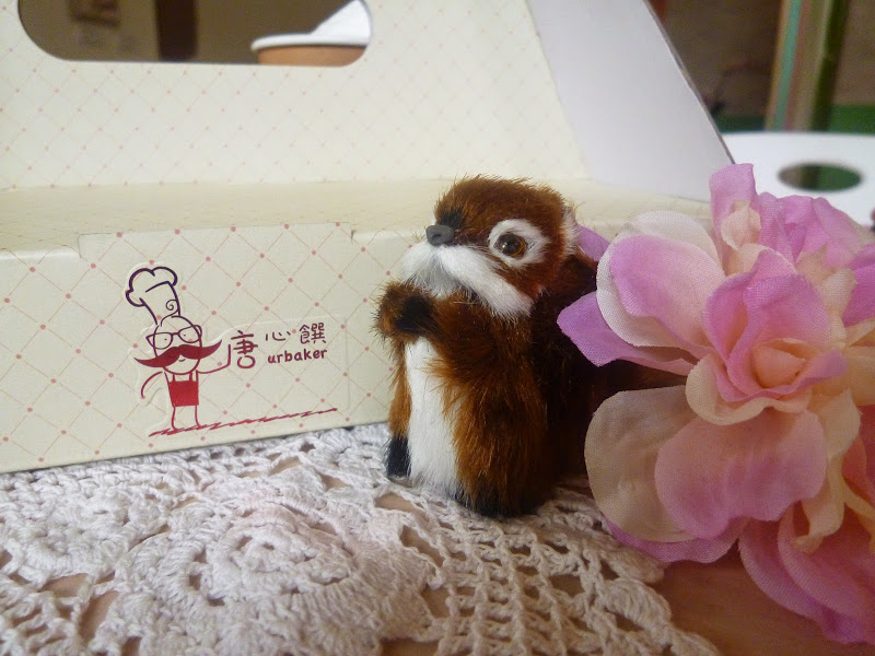 【苗栗頭份/點心甜點推薦】知名網購品牌進駐尚順啦!美味又安心的好布蕾-唐心饌手作布蕾