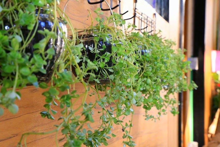 【苗栗頭份/點心甜點推薦】知名網購品牌進駐尚順啦!美味又安心的好布蕾-唐心饌手作布蕾