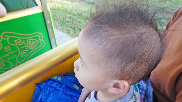 【三重景點】大都會公園希望小火車,假日限定!親子旅遊必玩小火車景點,真實體驗完整介紹,購票地點、攻略完整一次介紹