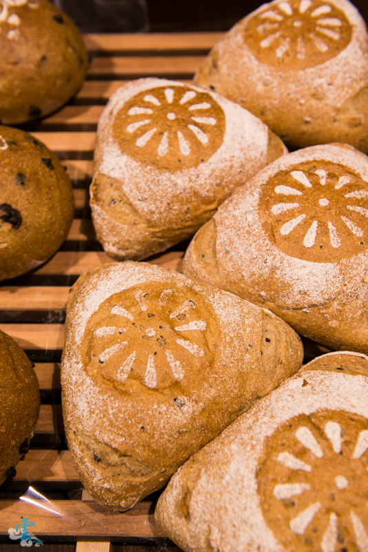 DSC_9388.jpg DSC_9388.jpg