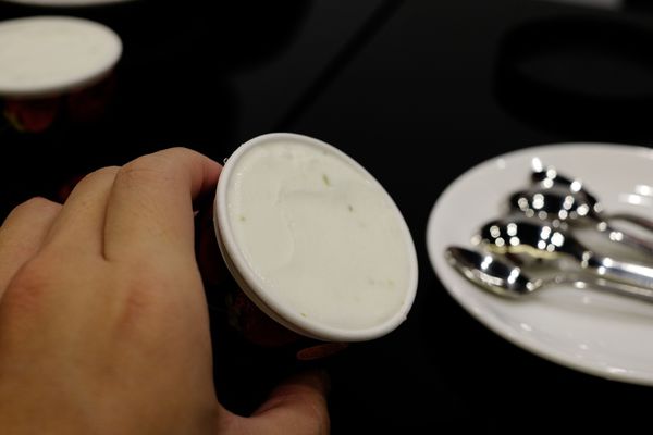 檸檬優格冰淇淋 (1).jpg