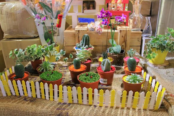 彰化百寶村:【彰化景點】埤頭百寶村~透過插畫來尋找童趣/小小市集/在地特產伴手禮