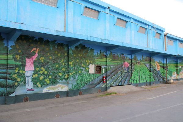 彰化百寶村:【彰化景點】埤頭百寶村~透過插畫來尋找童趣/小小市集/在地特產伴手禮