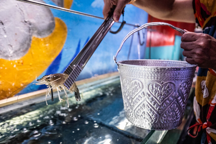 桃園市中壢區大象泰式美食館 泰式燒烤吃到飽｜竟然還有流水蝦！連泰國人都掛保證好吃！最道地的泰式炭火燒肉吃到飽