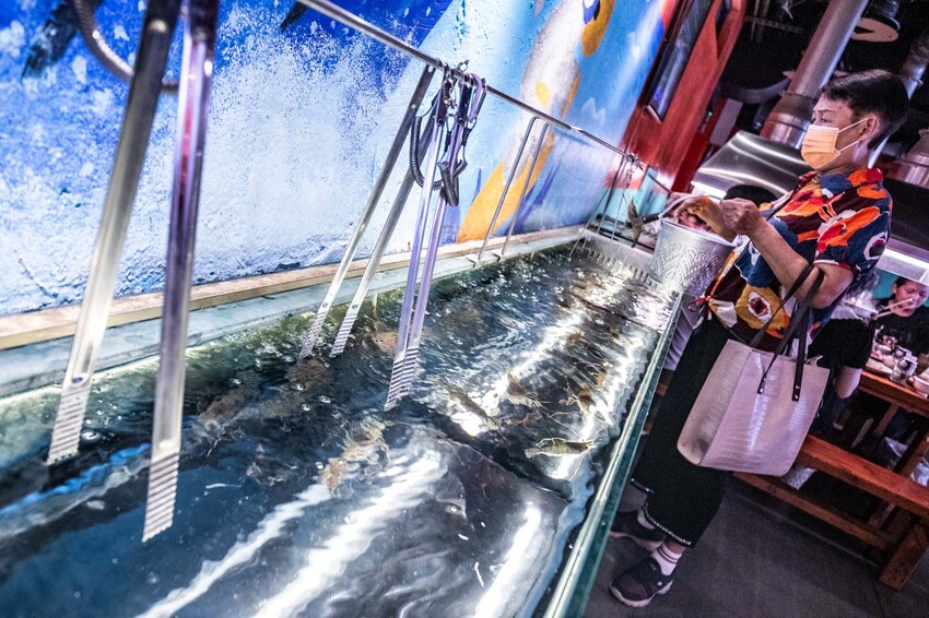 桃園市中壢區大象泰式美食館 泰式燒烤吃到飽｜竟然還有流水蝦！連泰國人都掛保證好吃！最道地的泰式炭火燒肉吃到飽