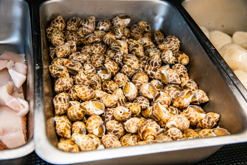 桃園市中壢區大象泰式美食館 泰式燒烤吃到飽｜竟然還有流水蝦！連泰國人都掛保證好吃！最道地的泰式炭火燒肉吃到飽