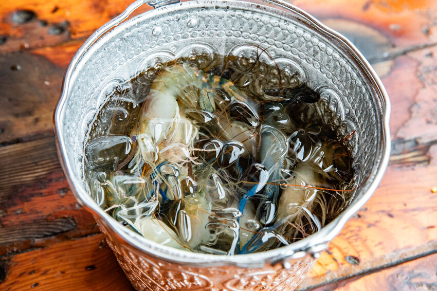 桃園市中壢區大象泰式美食館 泰式燒烤吃到飽｜竟然還有流水蝦！連泰國人都掛保證好吃！最道地的泰式炭火燒肉吃到飽