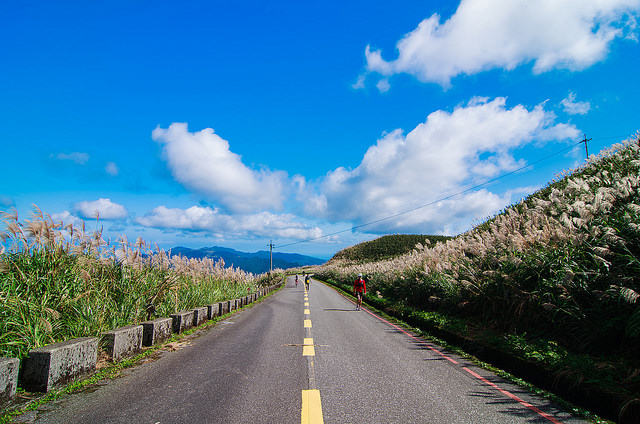 【瑞芳/平溪景點】秋風輕撫。芒花飛舞/全台美麗公路-深秋五分山 2014芒花季 單車步道