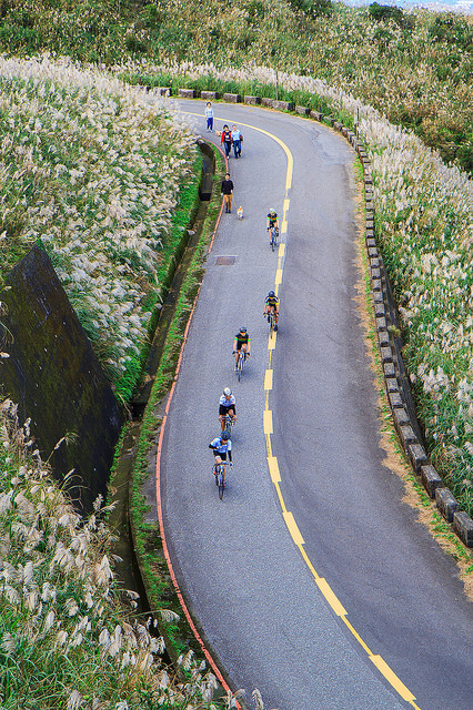 【瑞芳/平溪景點】秋風輕撫。芒花飛舞/全台美麗公路-深秋五分山 2014芒花季 單車步道