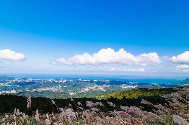 【瑞芳/平溪景點】秋風輕撫。芒花飛舞/全台美麗公路-深秋五分山 2014芒花季 單車步道