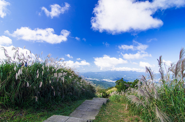 【瑞芳/平溪景點】秋風輕撫。芒花飛舞/全台美麗公路-深秋五分山 2014芒花季 單車步道