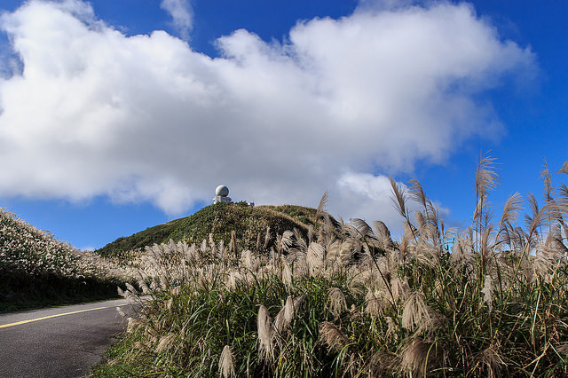 【瑞芳/平溪景點】秋風輕撫。芒花飛舞/全台美麗公路-深秋五分山 2014芒花季 單車步道