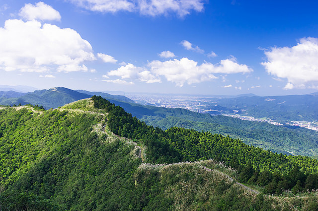 【瑞芳/平溪景點】秋風輕撫。芒花飛舞/全台美麗公路-深秋五分山 2014芒花季 單車步道
