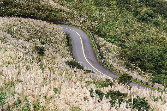 【瑞芳/平溪景點】秋風輕撫。芒花飛舞/全台美麗公路-深秋五分山 2014芒花季 單車步道