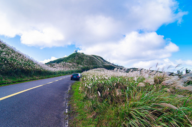 【瑞芳/平溪景點】秋風輕撫。芒花飛舞/全台美麗公路-深秋五分山 2014芒花季 單車步道