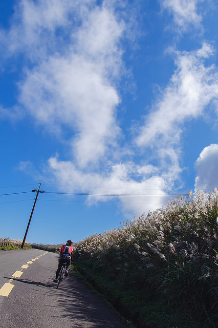 【瑞芳/平溪景點】秋風輕撫。芒花飛舞/全台美麗公路-深秋五分山 2014芒花季 單車步道