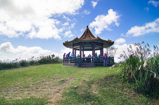 【瑞芳/平溪景點】秋風輕撫。芒花飛舞/全台美麗公路-深秋五分山 2014芒花季 單車步道