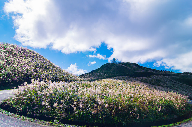 【瑞芳/平溪景點】秋風輕撫。芒花飛舞/全台美麗公路-深秋五分山 2014芒花季 單車步道