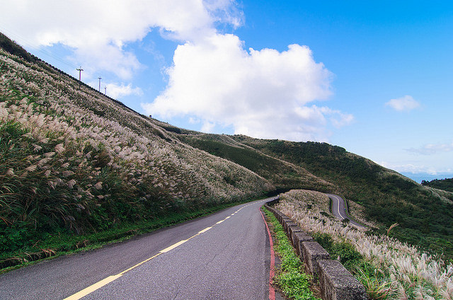 【瑞芳/平溪景點】秋風輕撫。芒花飛舞/全台美麗公路-深秋五分山 2014芒花季 單車步道