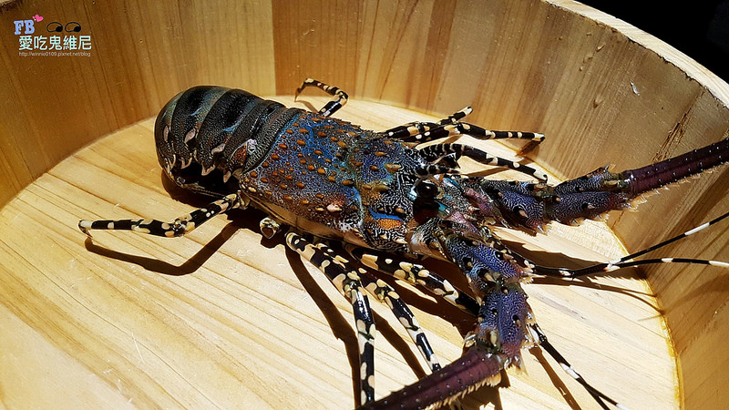 暮藏_180117_0009 暮藏_180117_0009