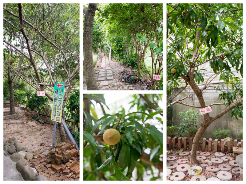 DSC_8619_Fotor_Collage.jpg DSC_8619_Fotor_Collage.jpg