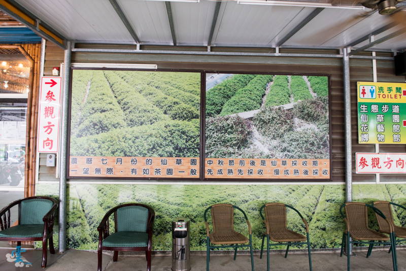 DSC_8617.jpg DSC_8617.jpg