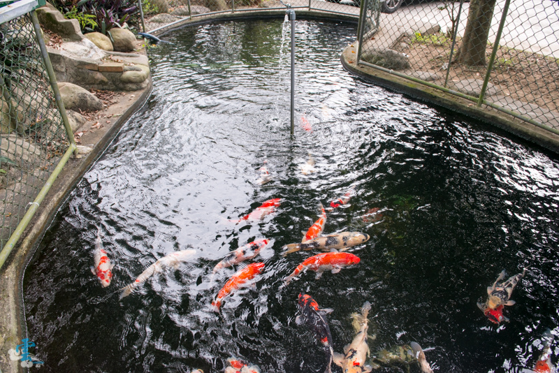 DSC_8672.jpg DSC_8672.jpg