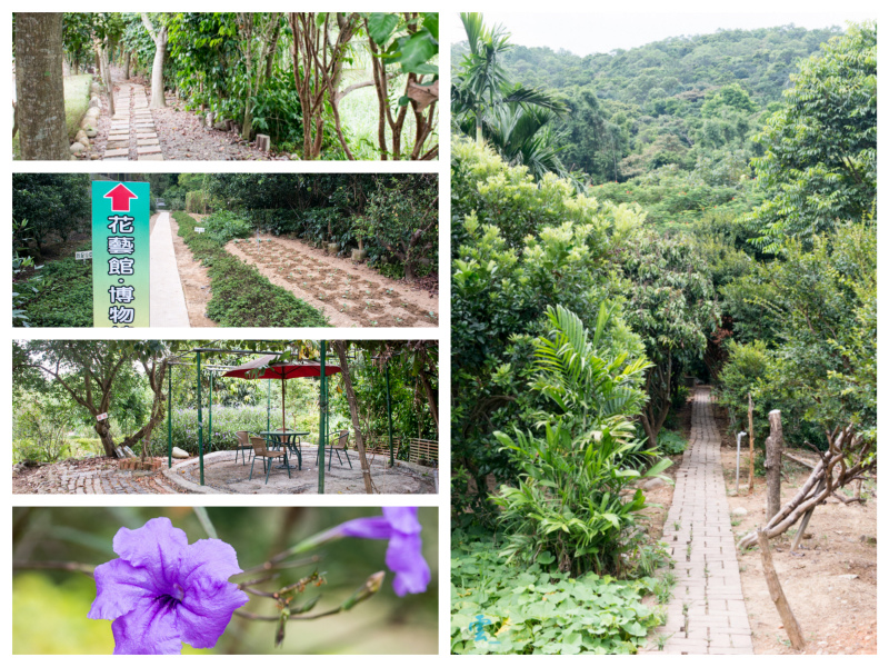 DSC_8620_Fotor_Collage.jpg DSC_8620_Fotor_Collage.jpg