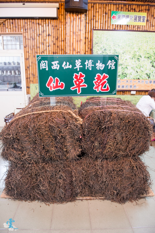 DSC_8639.jpg DSC_8639.jpg