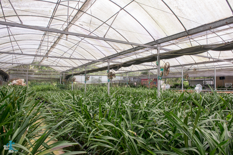 DSC_8636.jpg DSC_8636.jpg