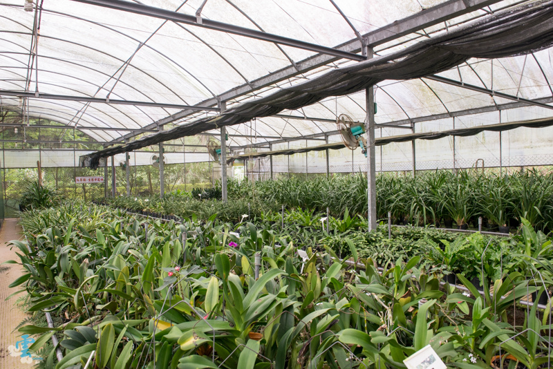 DSC_8635.jpg DSC_8635.jpg