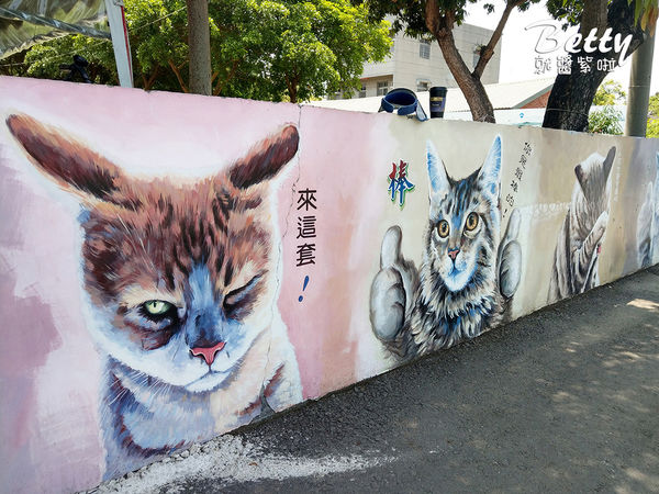 20180511貓世界 (5).jpg