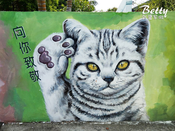 20180511貓世界 (17).jpg