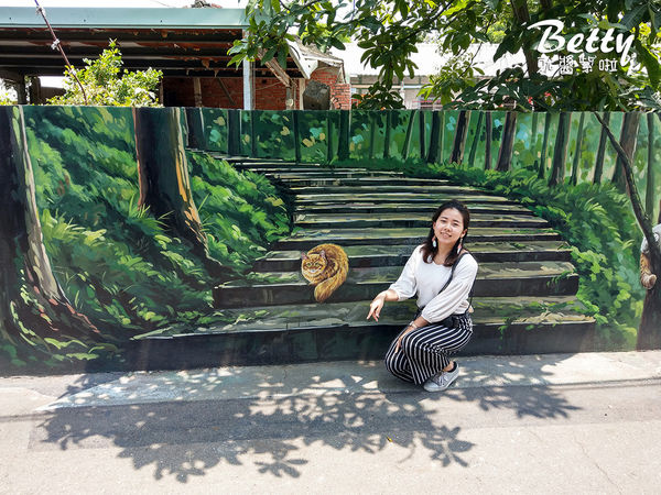 20180511貓世界 (13).jpg