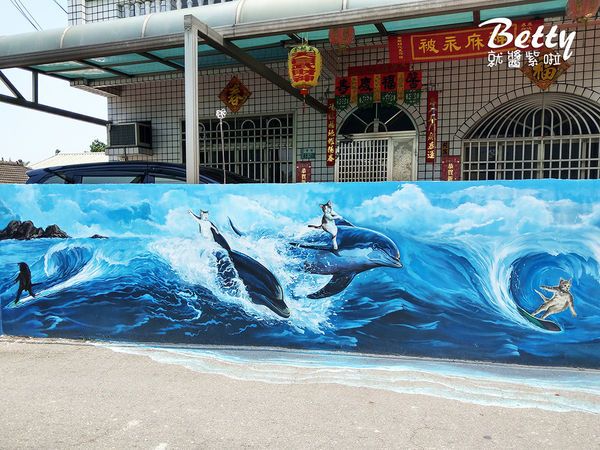 20180511貓世界 (14).jpg