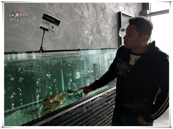 村民食堂, 桃園火鍋, 桃園美食,海月鍋物,火鍋, 藝文特區美食,