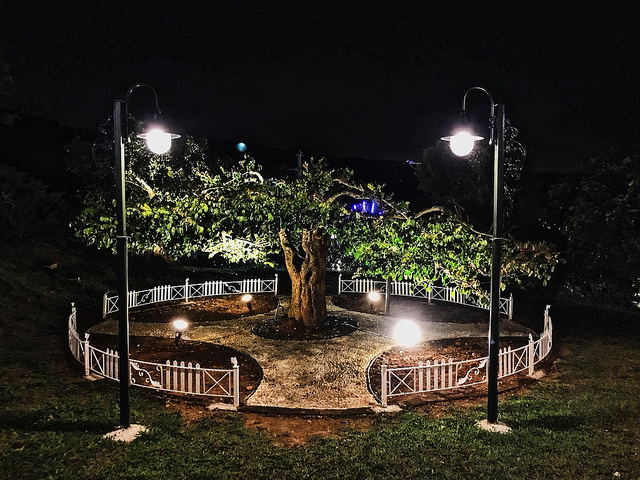 銀河鐵道_23 銀河鐵道_23