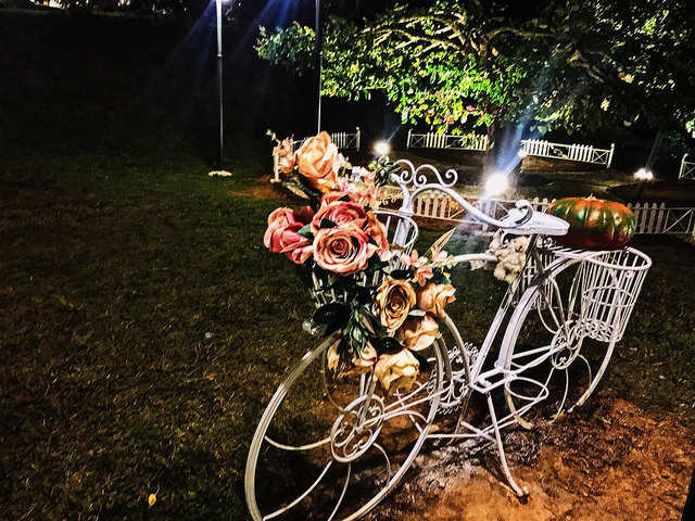 銀河鐵道_21 銀河鐵道_21