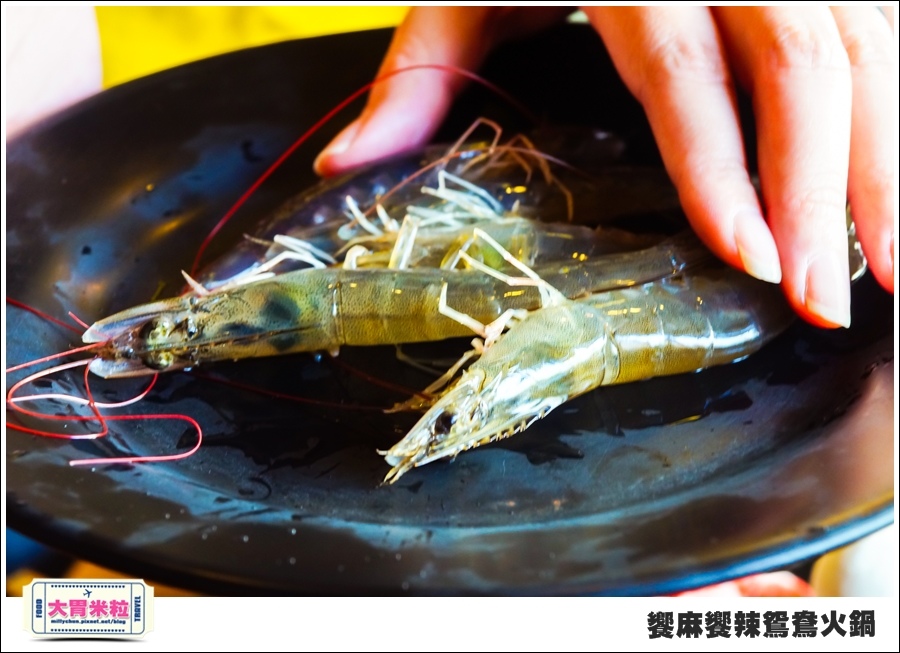 台南饗麻饗辣@麻辣鍋吃到飽@大胃米粒0068.jpg 台南饗麻饗辣@麻辣鍋吃到飽@大胃米粒0068.jpg